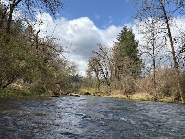 https://bt-photos.global.ssl.fastly.net/portland/orig_boomver_2_257441062-2.jpg