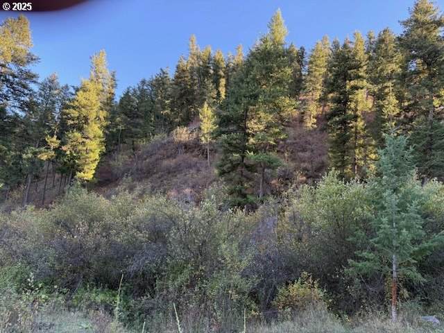 https://bt-photos.global.ssl.fastly.net/portland/orig_boomver_2_259283052-2.jpg
