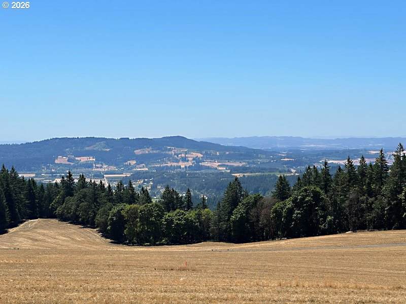 https://bt-photos.global.ssl.fastly.net/portland/orig_boomver_2_322261120-2.jpg