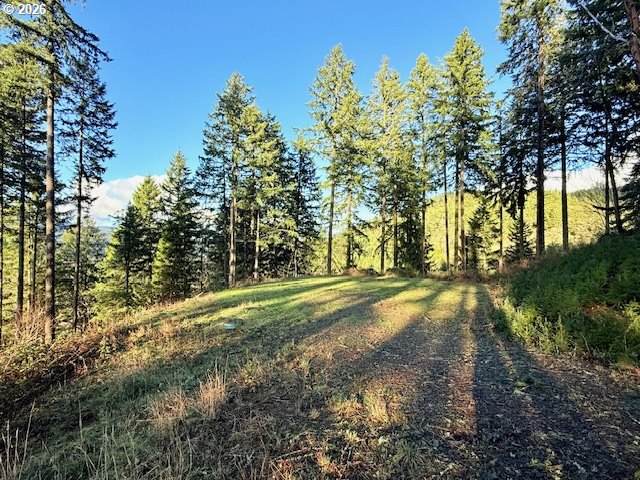 https://bt-photos.global.ssl.fastly.net/portland/orig_boomver_2_429162594-2.jpg
