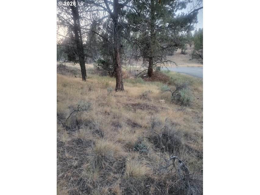 https://bt-photos.global.ssl.fastly.net/portland/orig_boomver_2_430804762-2.jpg