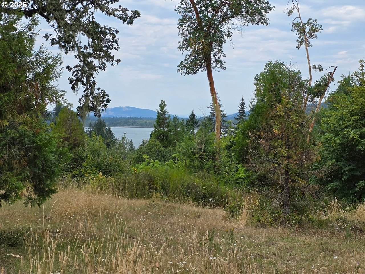 0 Hwy 58 - Photo 1