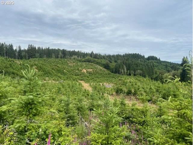 https://bt-photos.global.ssl.fastly.net/portland/orig_boomver_2_604418255-2.jpg