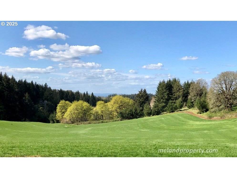 2678 Drift Creek Rd - Photo 1