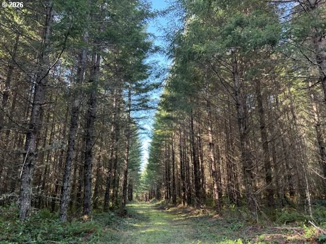 00 Wildcat Mountain Dr - Photo 1