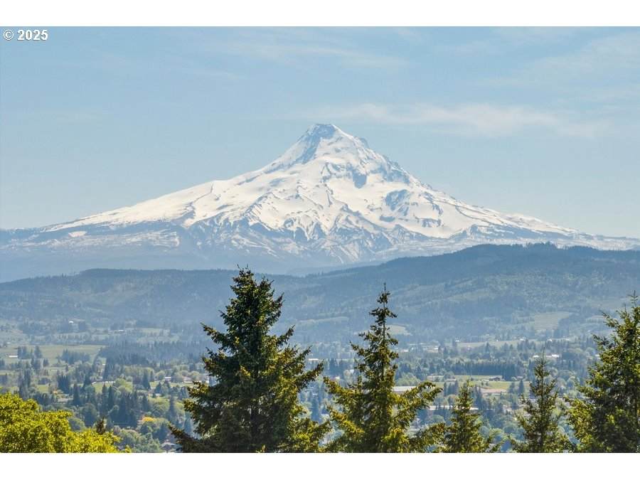 https://bt-photos.global.ssl.fastly.net/portland/orig_boomver_2_661716395-2.jpg