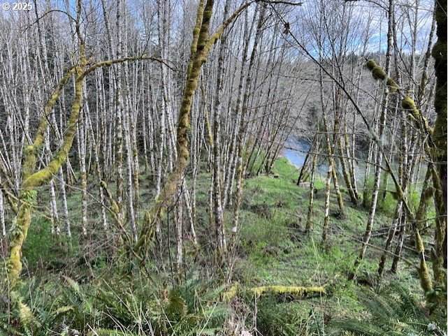 https://bt-photos.global.ssl.fastly.net/portland/orig_boomver_2_685973355-2.jpg