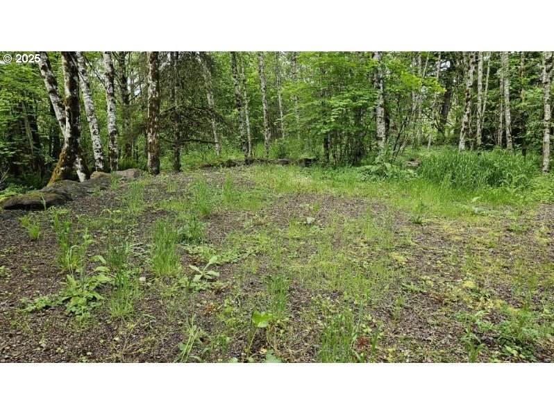 136 Peppermill Rd - Photo 1