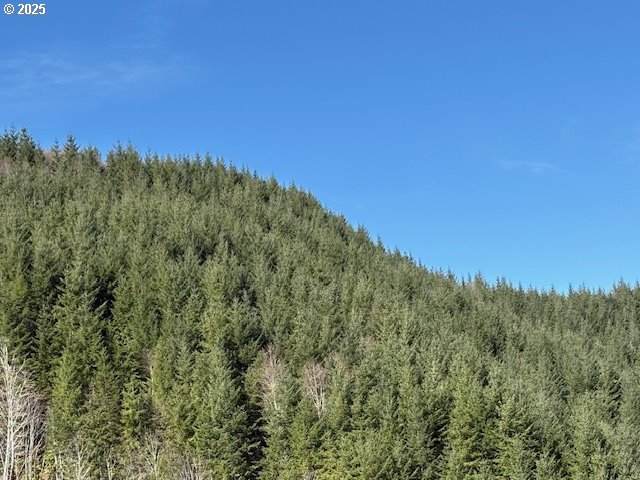 000 Logsden Rd - Photo 1