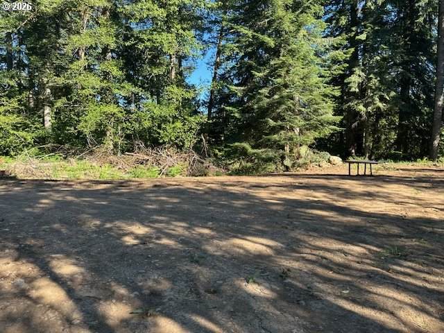 00 Thompson Dr - Photo 1