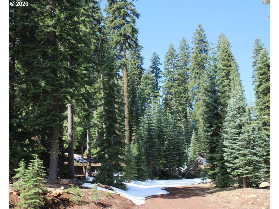  Keno Access Rd - Photo 1