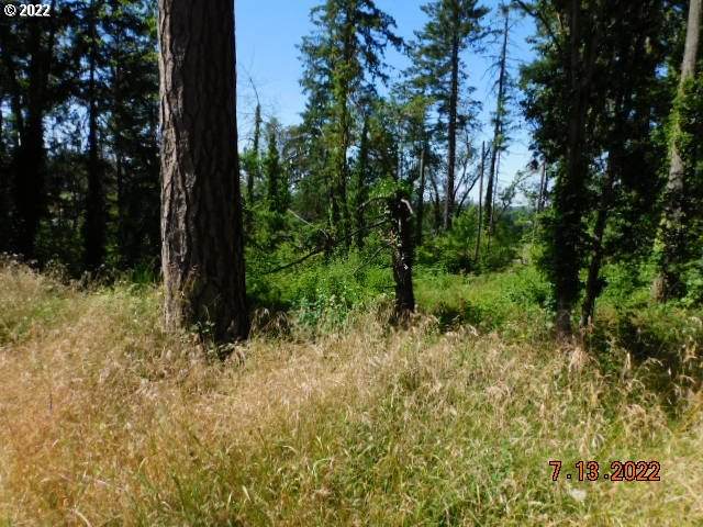 3609 25th Ave - Photo 1