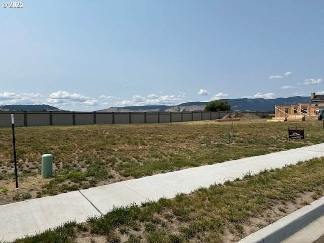 10806 Carrie Way - Photo 1