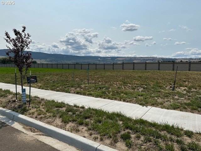 10808 Carrie Way - Photo 1