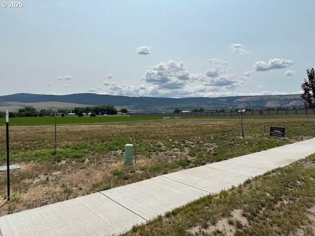 10703 Greg Ln - Photo 1
