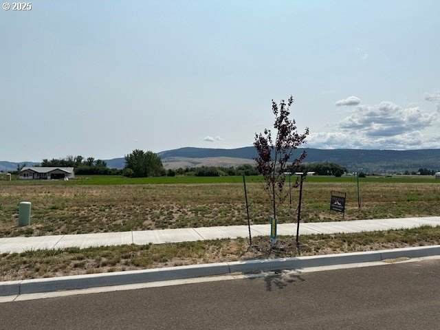 10605 Greg Ln - Photo 1