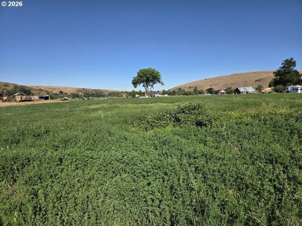 54884 Day Rd - Photo 1