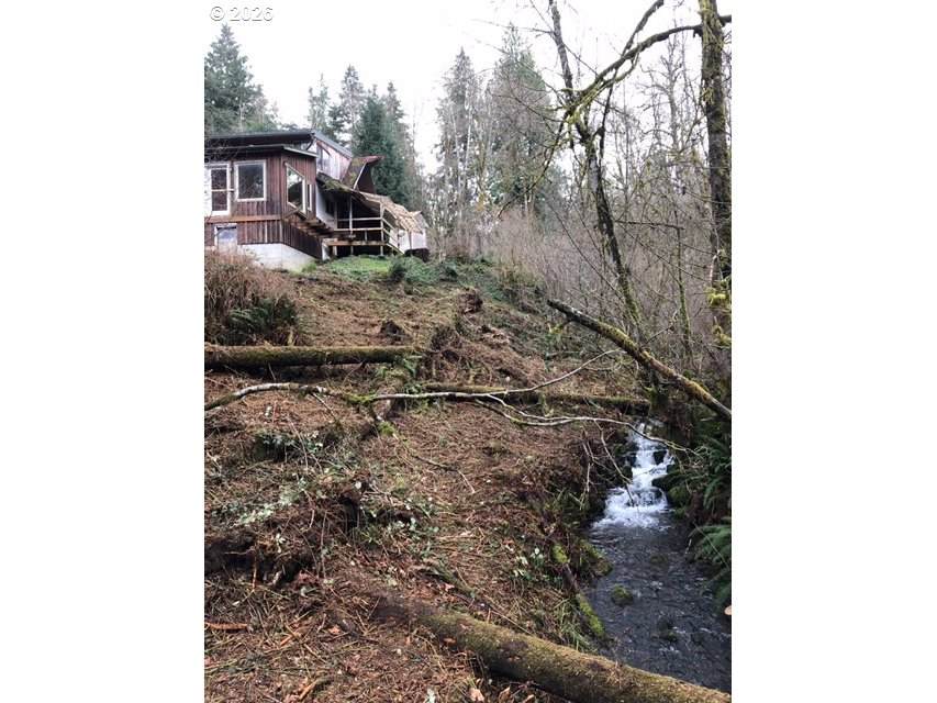 https://bt-photos.global.ssl.fastly.net/portland/orig_boomver_3_359615296-2.jpg