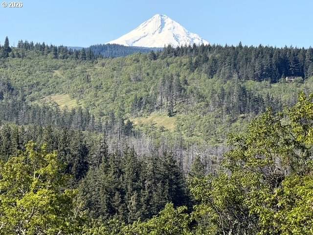 https://bt-photos.global.ssl.fastly.net/portland/1280_boomver_1_487552148-2.jpg