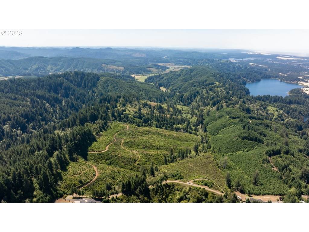  Collard Lake Rd - Photo 1