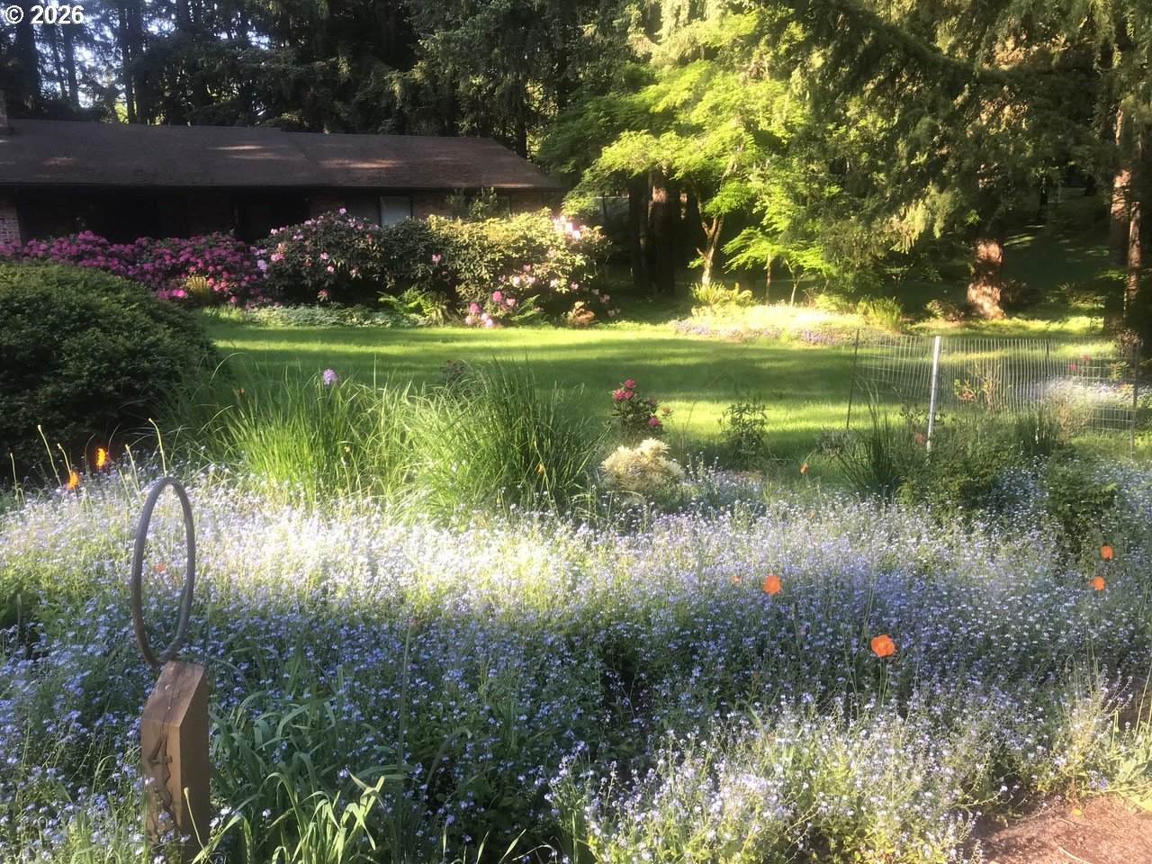 https://bt-photos.global.ssl.fastly.net/portland/1280_boomver_3_622557445-2.jpg