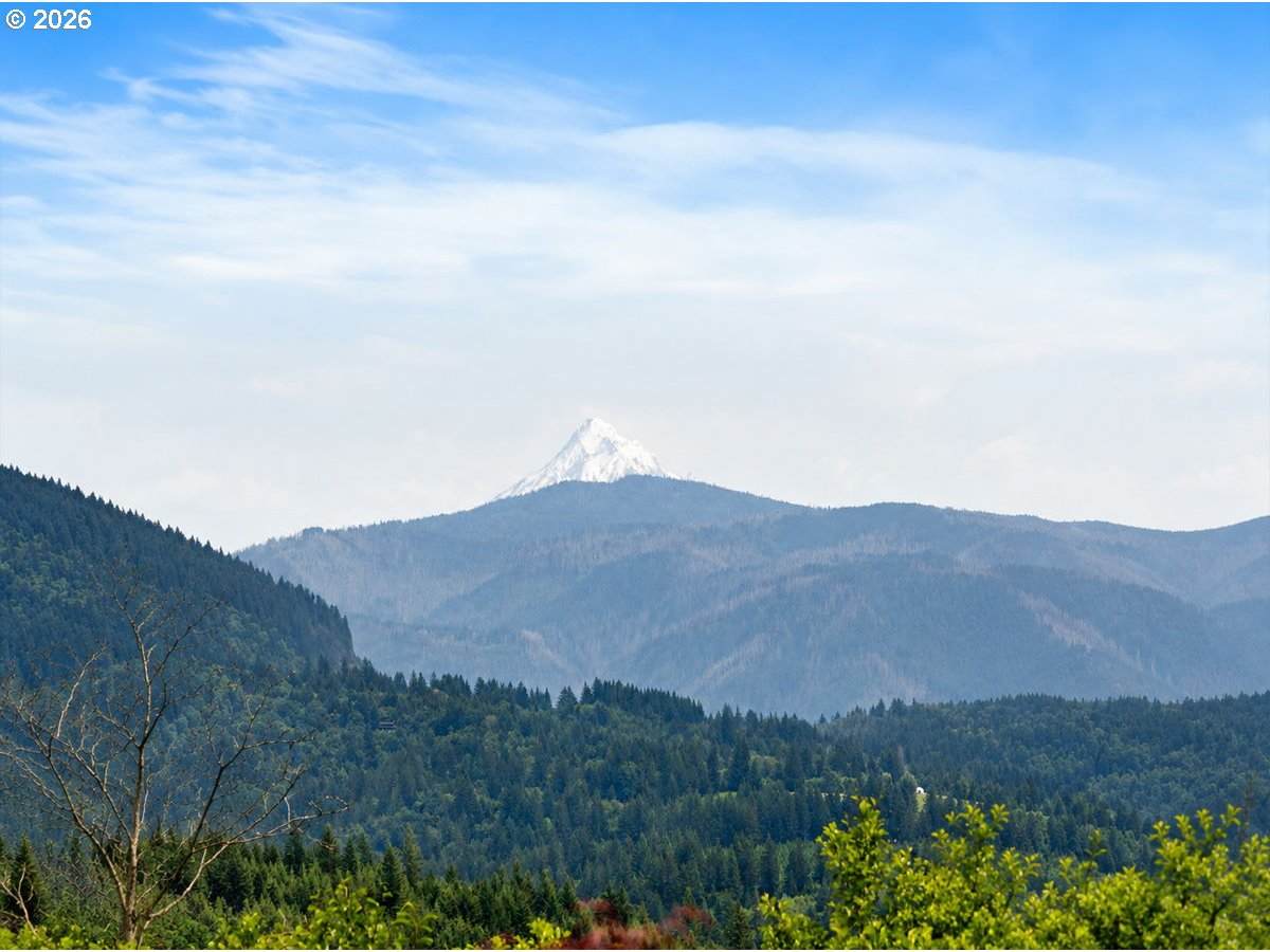 https://bt-photos.global.ssl.fastly.net/portland/orig_boomver_4_157792663-2.jpg