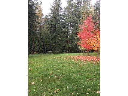 0 Doneta Rd - Photo 1
