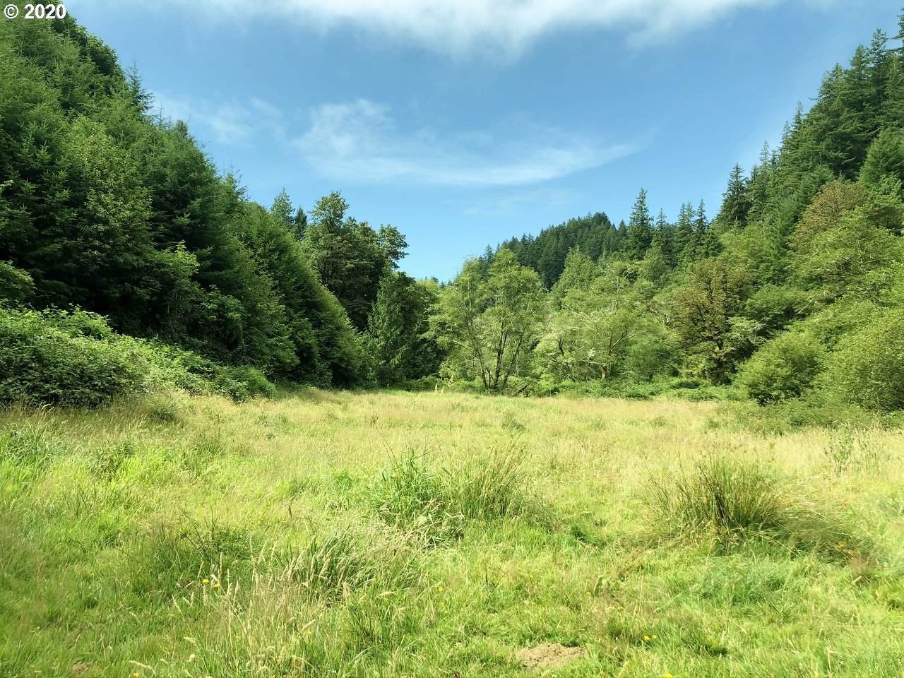 7421 North Fork Siuslaw Rd - Photo 1