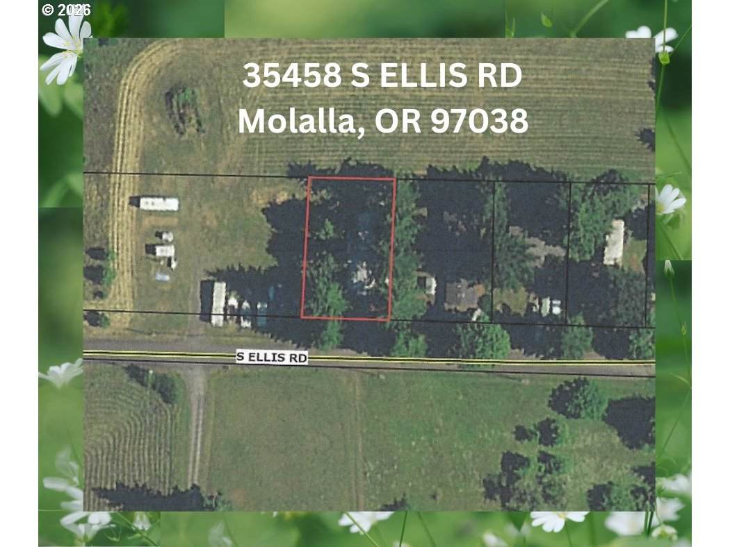 35458 Ellis Rd - Photo 1