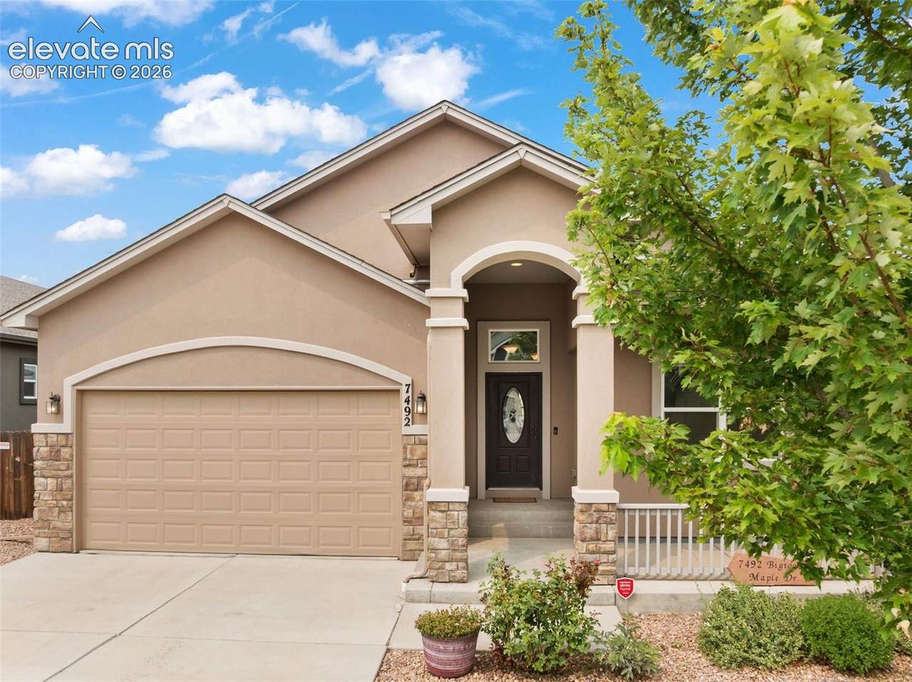 7492 Bigtooth Maple Drive - Photo 1