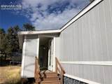 169 Daisy Street - Photo 20