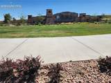 7877 Buffalo Horn Drive - Photo 4