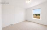 9075 Camino Del Sol Point - Photo 12