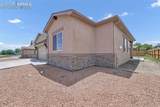 117 Rocchio Drive - Photo 20