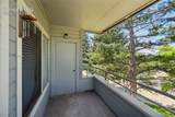 3684 Iguana Drive - Photo 19