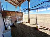 33558 County Road 50 - Photo 30