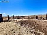 33558 County Road 50 - Photo 31