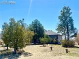 33558 County Road 50 - Photo 36