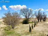 33558 County Road 50 - Photo 38