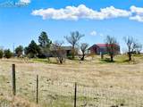 33558 County Road 50 - Photo 40