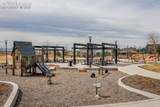 75 Uriah Street - Photo 31