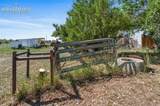 3415 Janitell Road - Photo 23