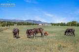 3415 Janitell Road - Photo 76
