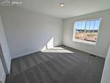 9331 Golden Buffs Drive - Photo 6