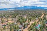 784 Blossom Road - Photo 41
