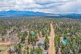 784 Blossom Road - Photo 42