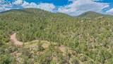 15505 Cuerno Verde View - Photo 1