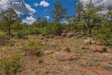 15505 Cuerno Verde View - Photo 11