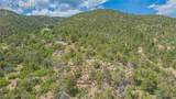 15505 Cuerno Verde View - Photo 18