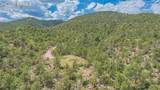 15505 Cuerno Verde View - Photo 2